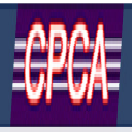 China Passenger Car Association (CPCA)